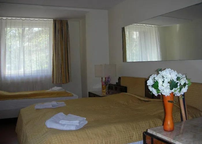 Panda Hotel