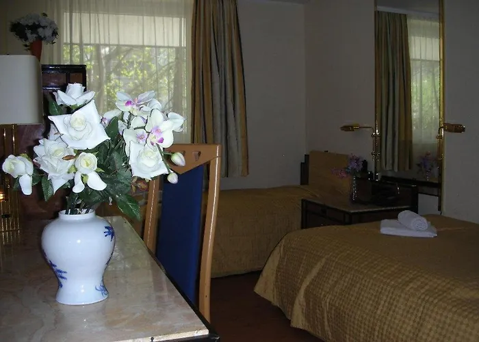Hotel Panda 3*